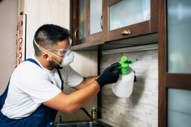 Best Best Pest Control Companies  in St Marys, PA