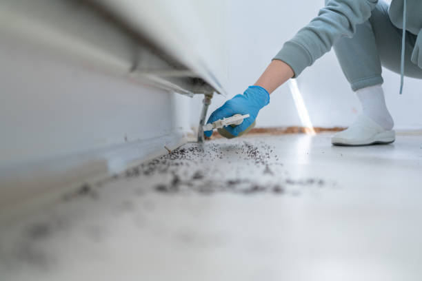 St Marys, PA Pest Control Company